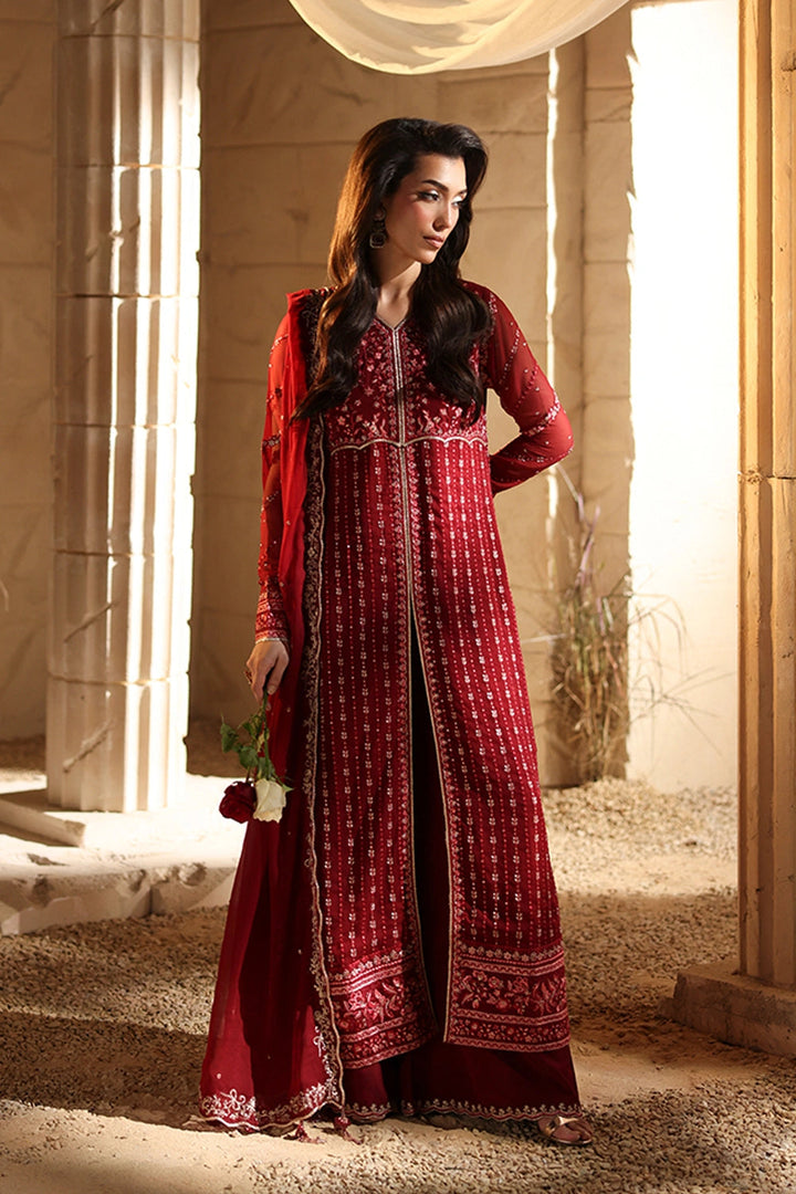 Luxe Embroidered Chiffon