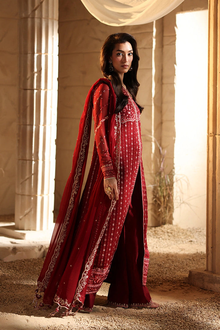 Luxe Embroidered Chiffon