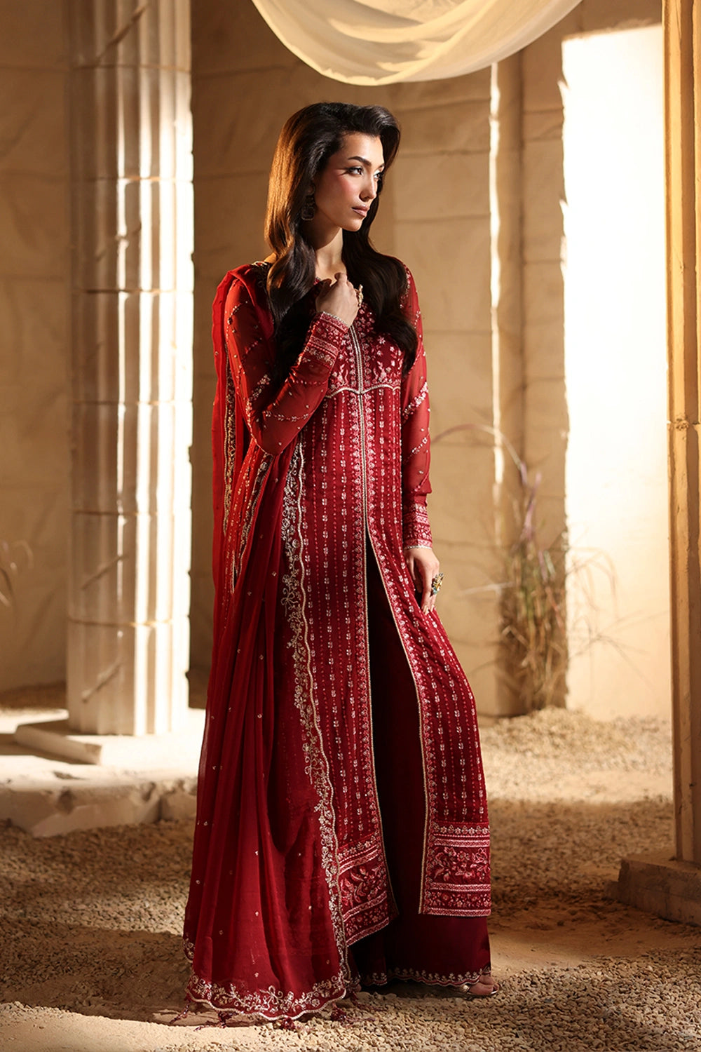 Luxe Embroidered Chiffon
