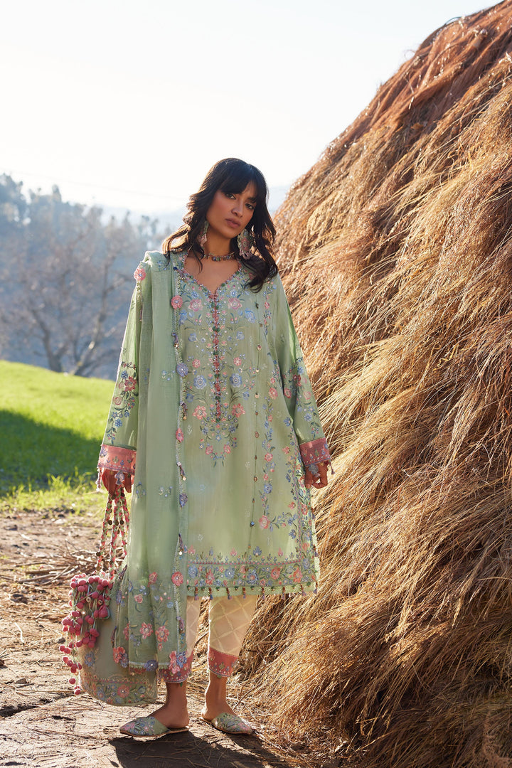 Embroidered  Lawn
