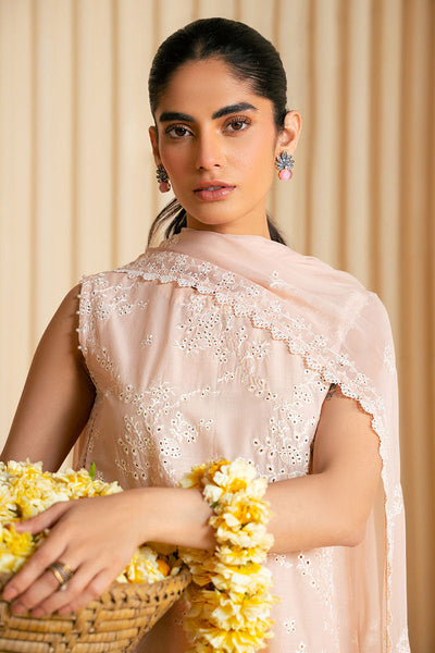 3PC CHIKANKARI SUIT