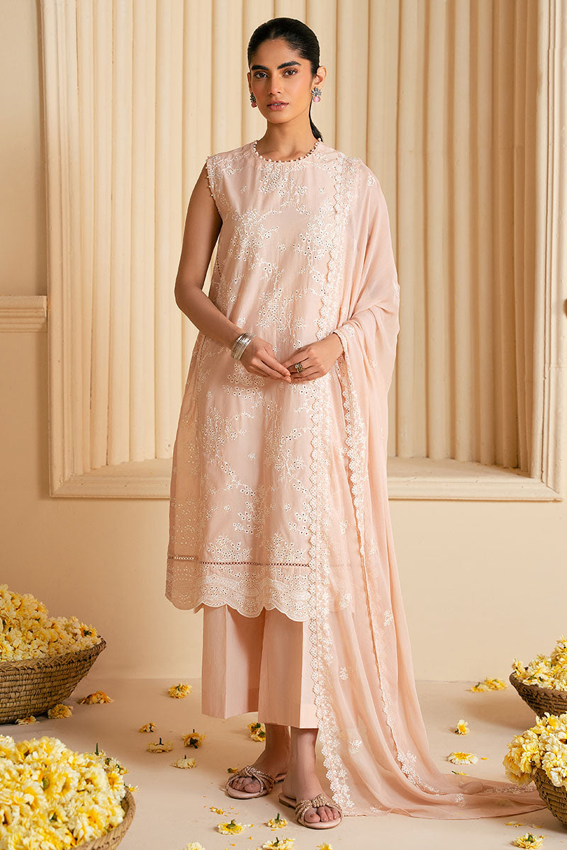 3PC CHIKANKARI SUIT