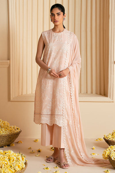 3PC CHIKANKARI SUIT