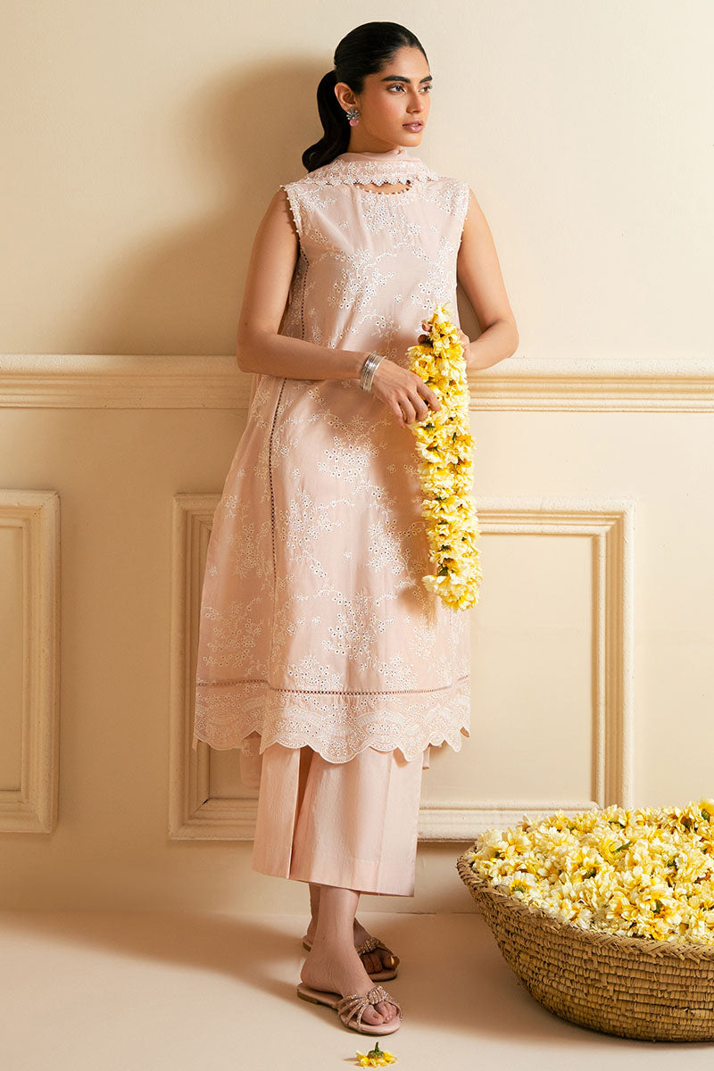 3PC CHIKANKARI SUIT