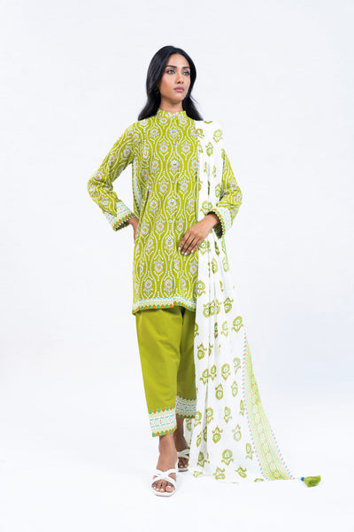 Spring Summer Lawn
