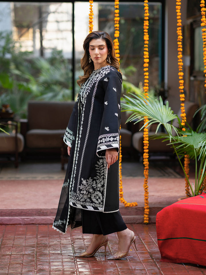 Satrangi Lawn Collection