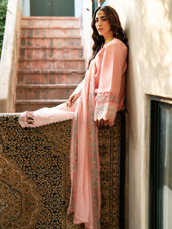Satrangi Lawn Collection