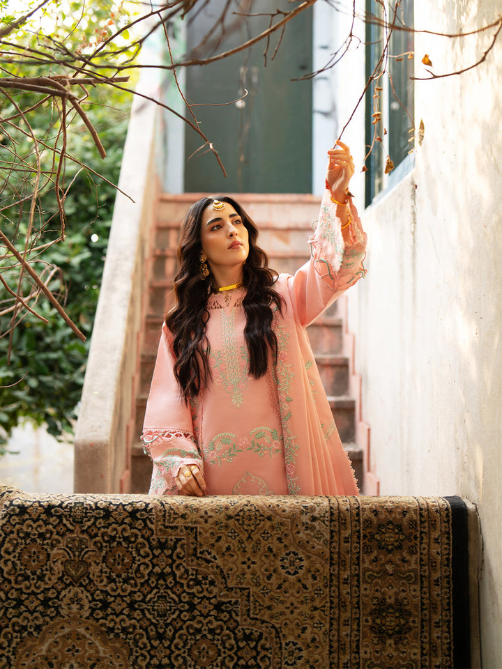 Satrangi Lawn Collection