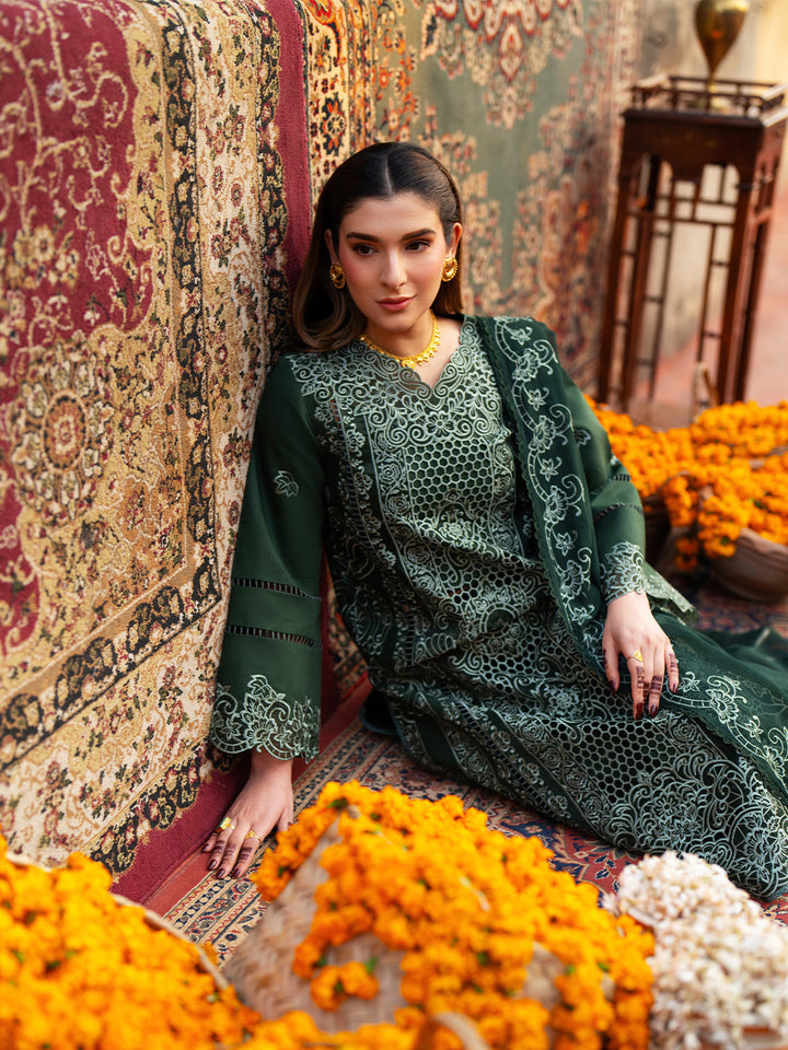 Satrangi Lawn Collection