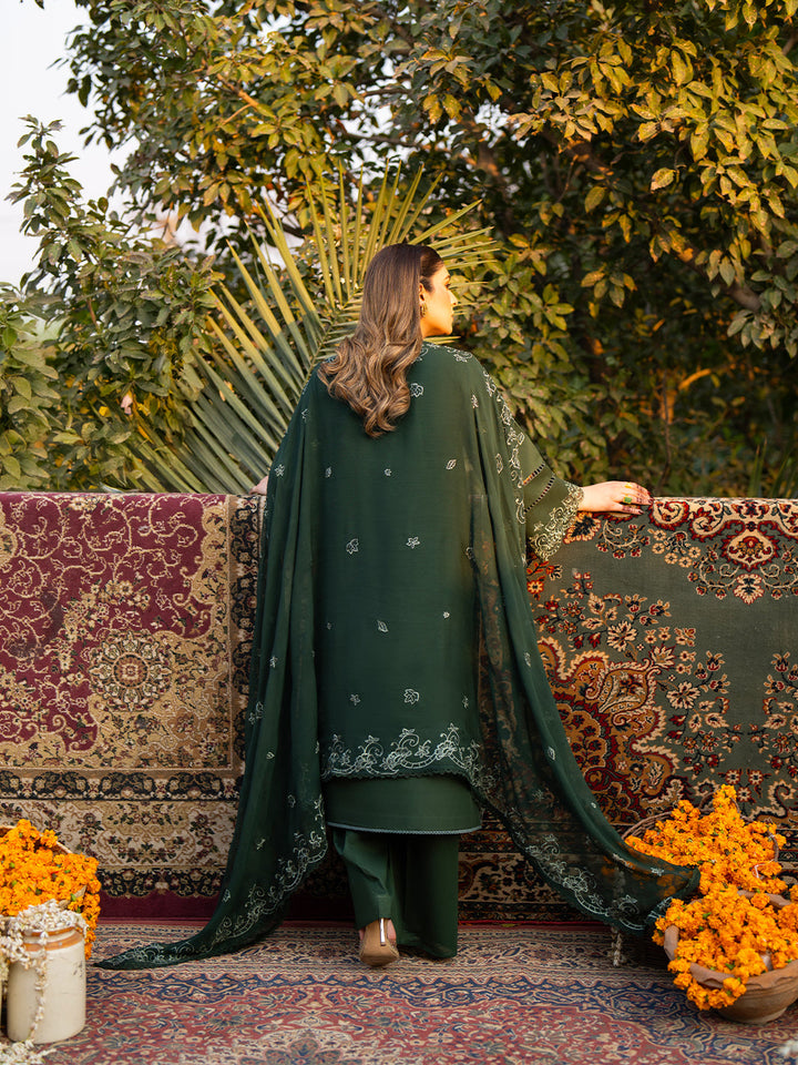 Satrangi Lawn Collection