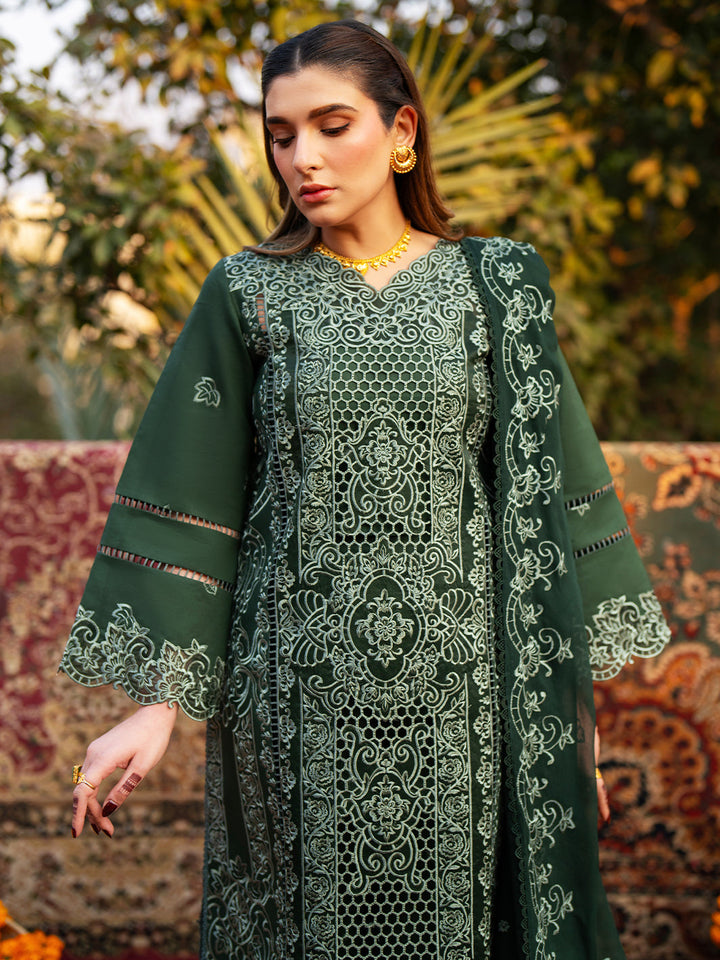 Satrangi Lawn Collection