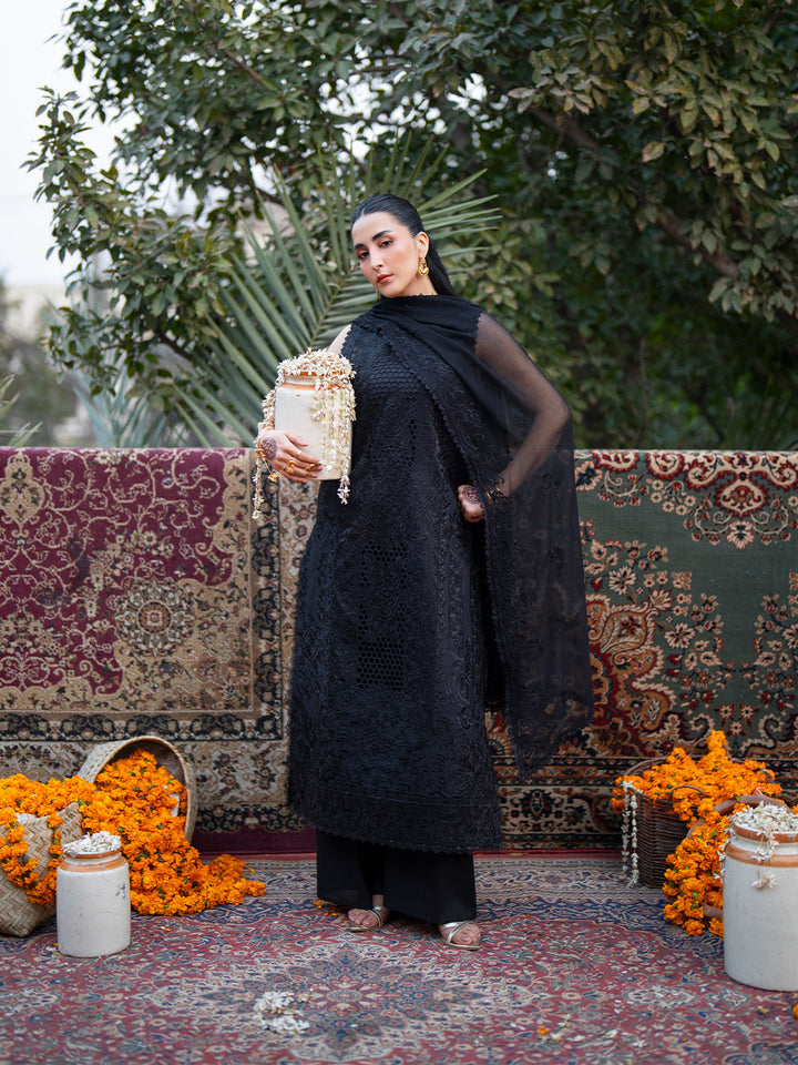 Satrangi Lawn Collection
