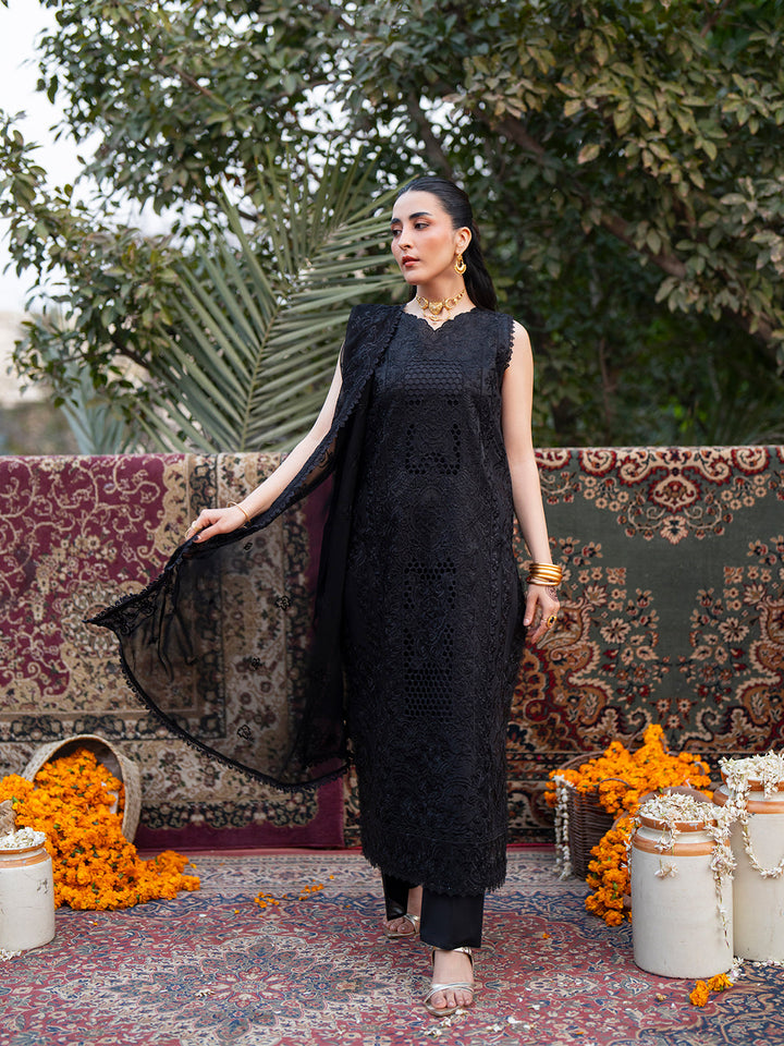 Satrangi Lawn Collection