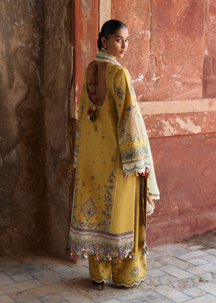 Zan Lawn Collections