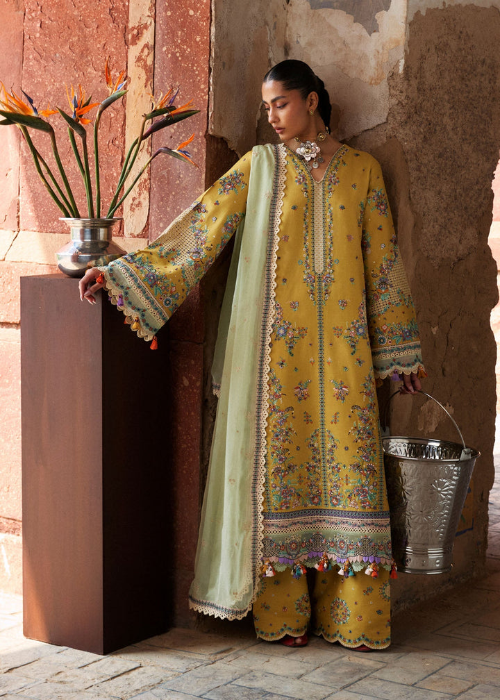 Zan Lawn Collections