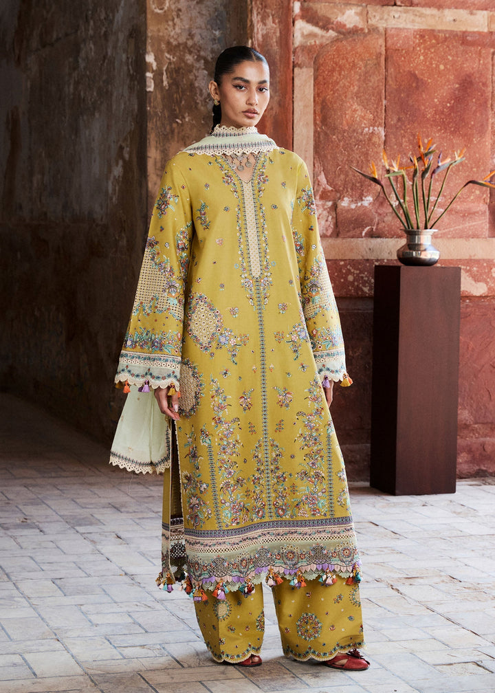 Zan Lawn Collections
