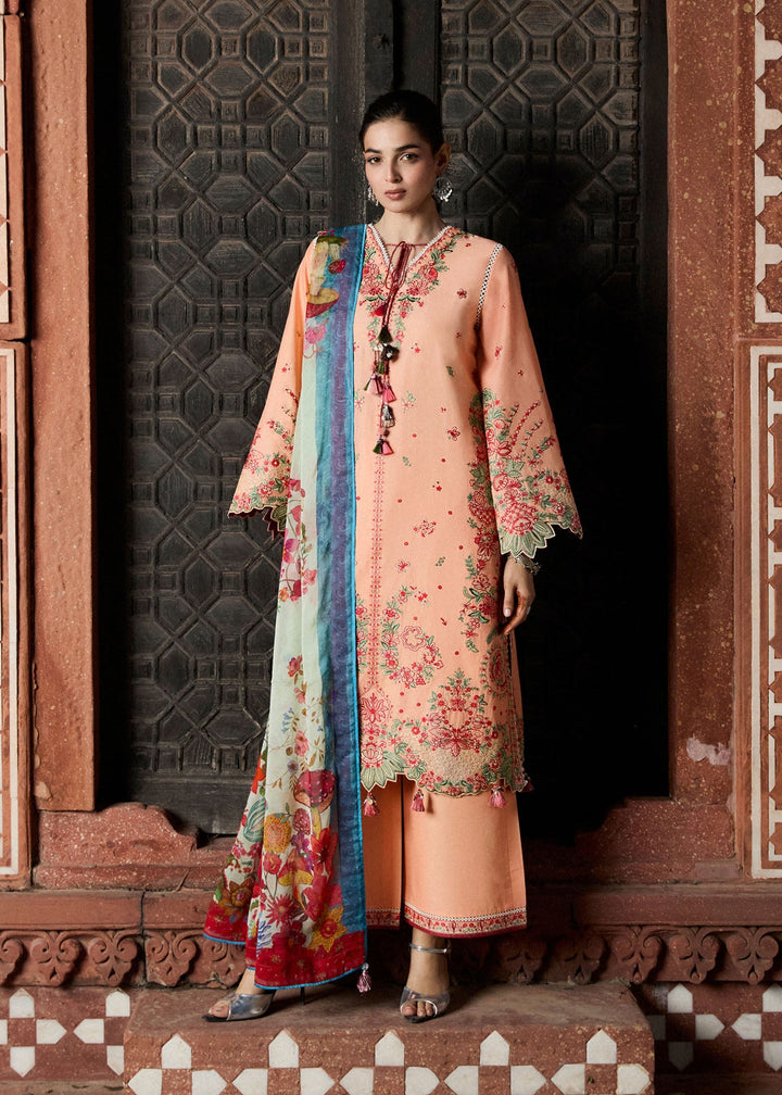 Zan Lawn Collections