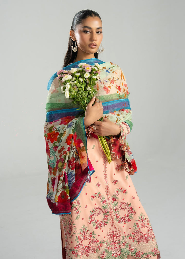 Zan Lawn Collections