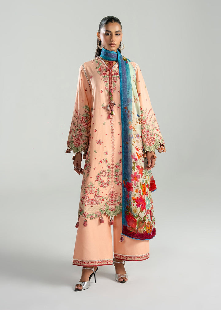 Zan Lawn Collections