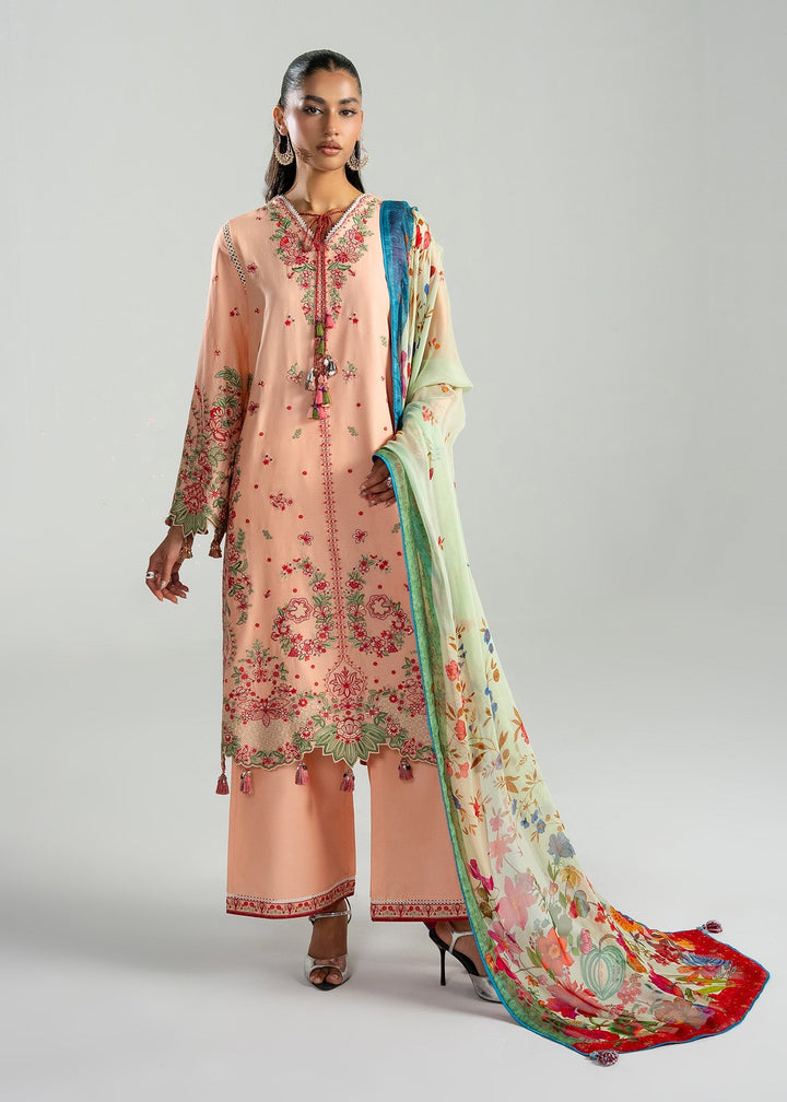 Zan Lawn Collections