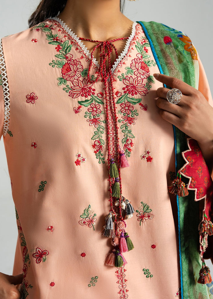 Zan Lawn Collections