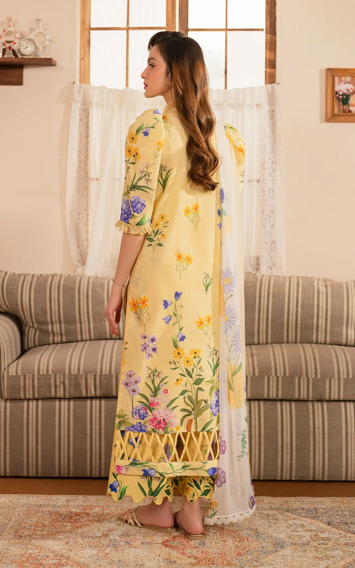 Meraki Summer Lawn