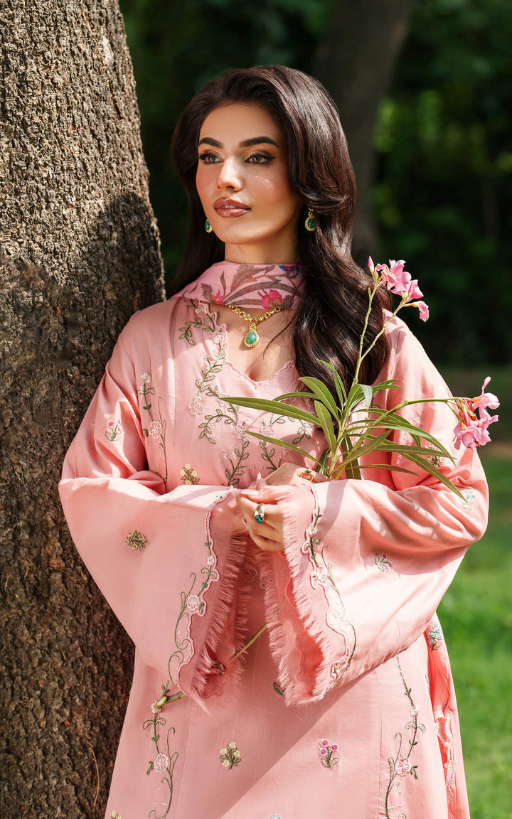 Eden Cambric Unstitched Collections
