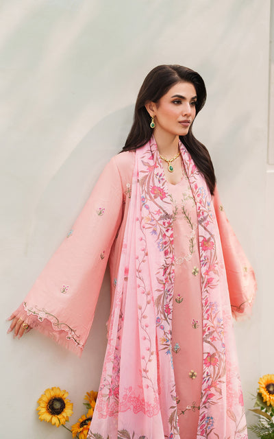 Eden Cambric Unstitched Collections