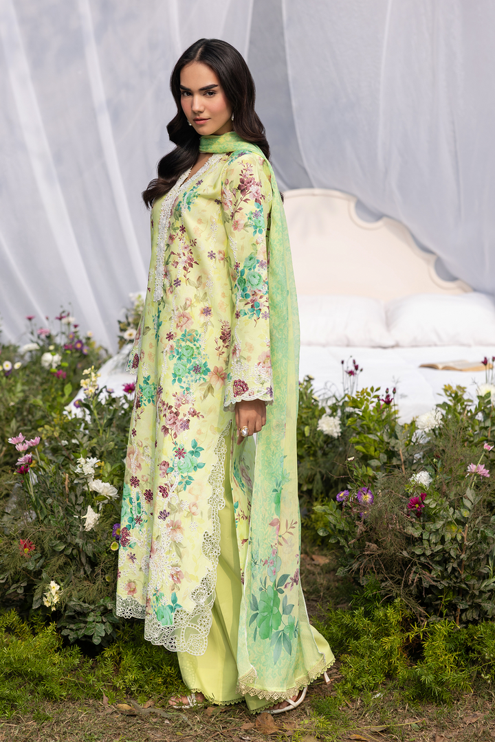 Summer Printkari Exclusive