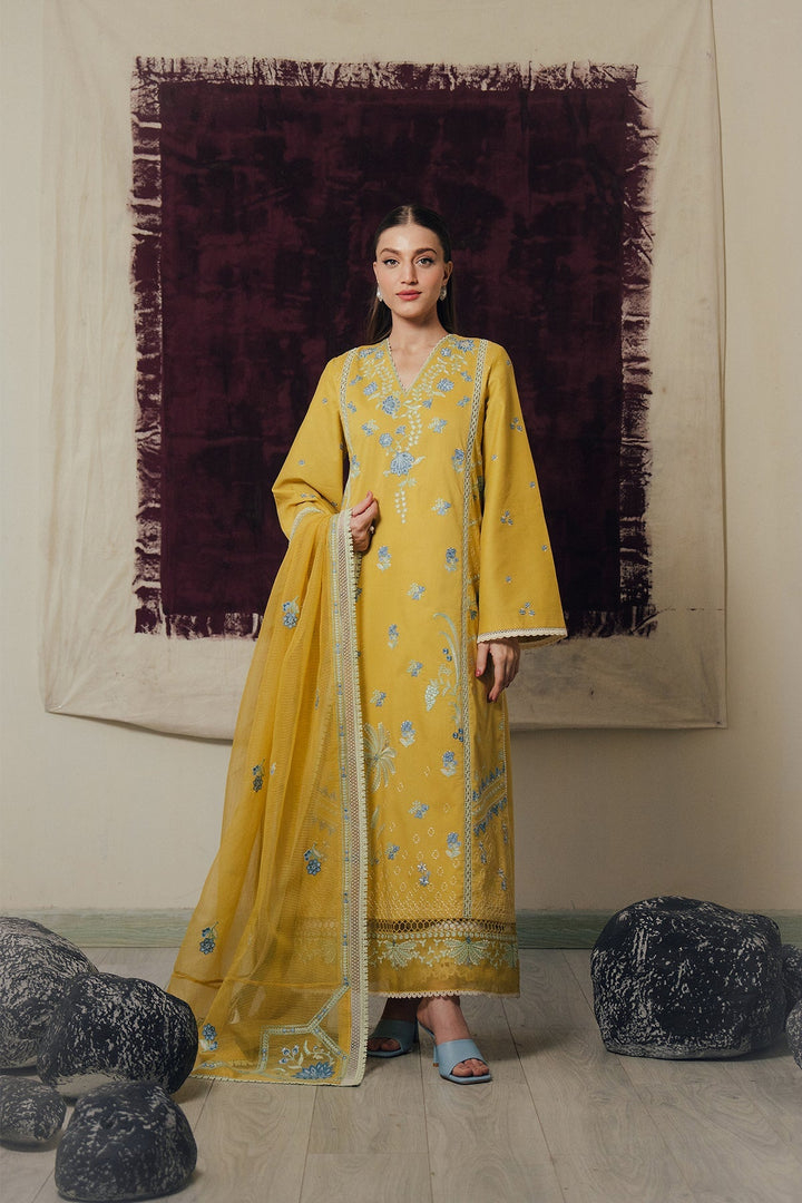 Daybreak LAWN Collections