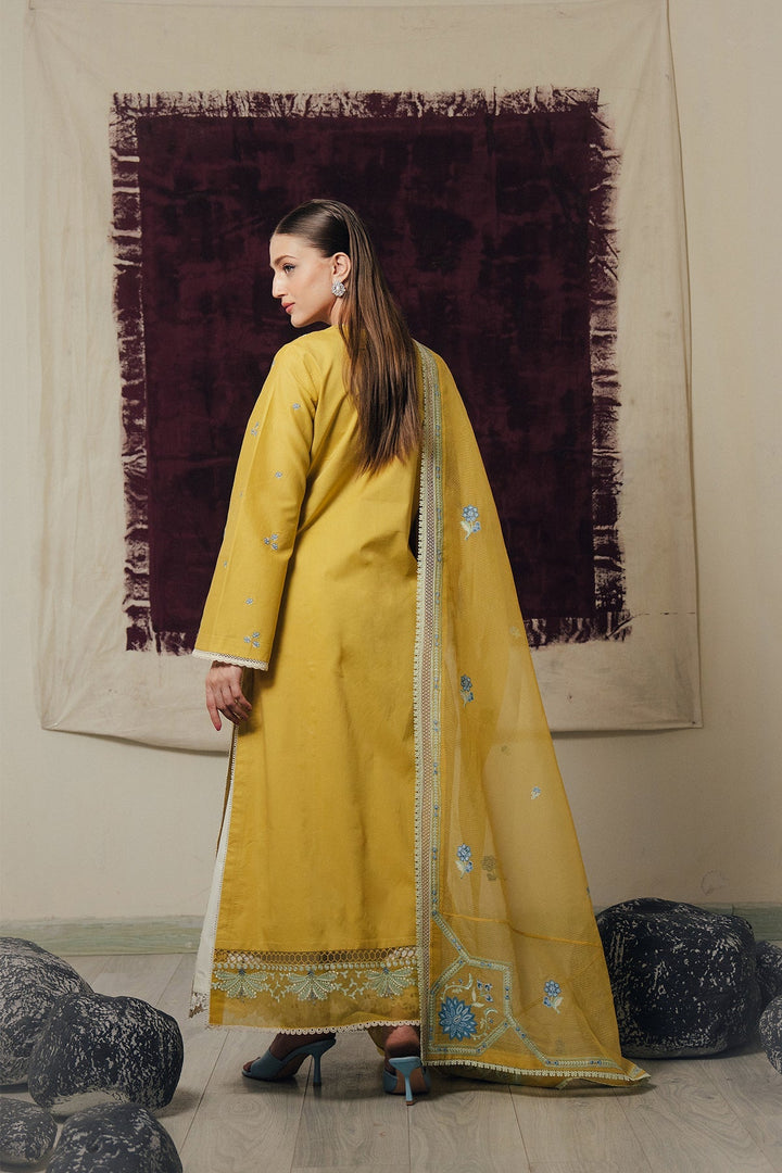 Daybreak LAWN Collections