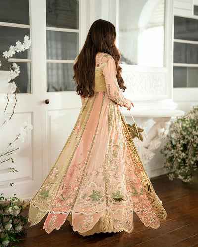 Sham Shandaar Festive Chiffon