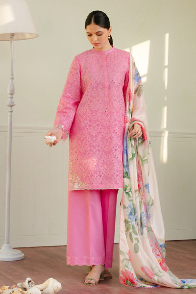 Coco Lawn