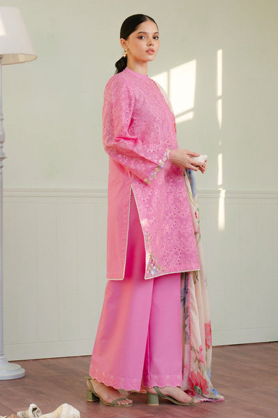 Coco Lawn