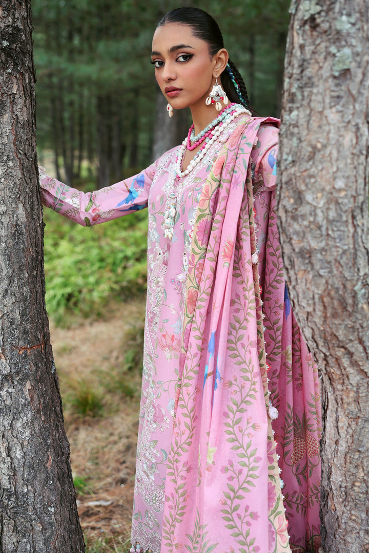 Embroidered  Lawn