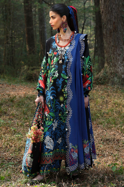 Embroidered  Lawn