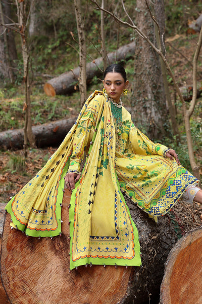 Embroidered  Lawn