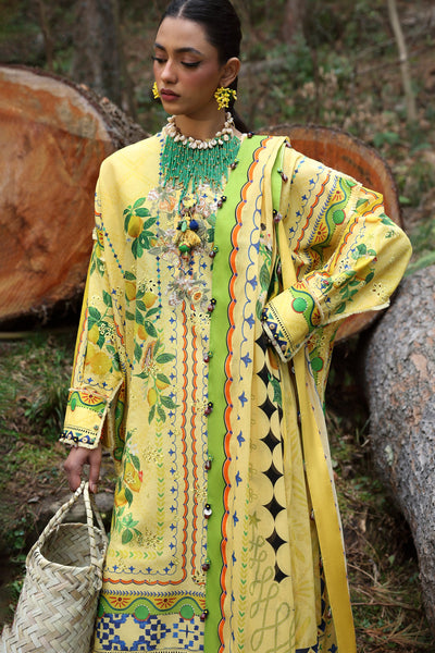 Embroidered  Lawn