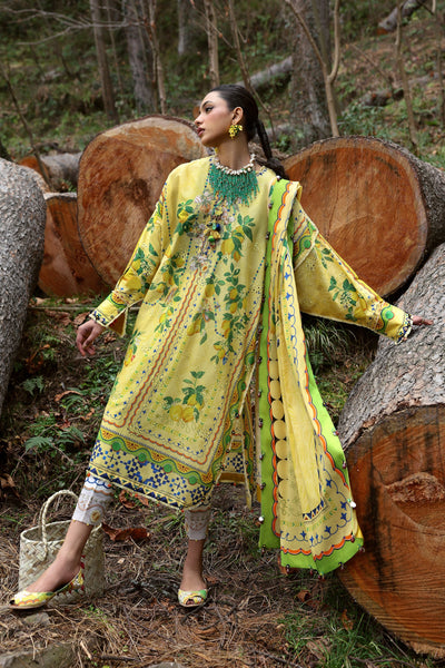 Embroidered  Lawn