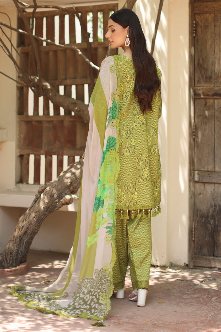3-PC Unstitched Embroidered Lawn Collection