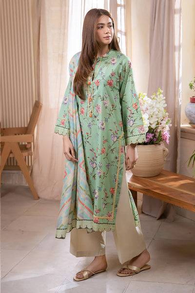 Printed Cambric 2 Piece stitched Suit