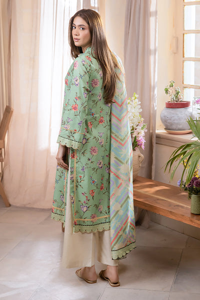 Printed Cambric 2 Piece stitched Suit