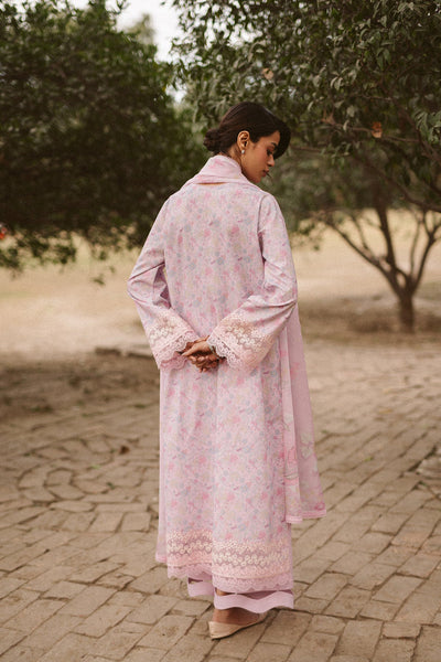 Core Lawn Collection