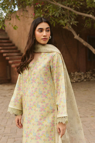 Core Lawn Collection
