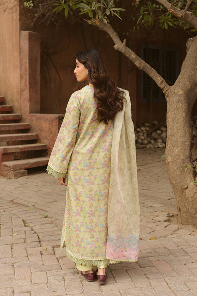 Core Lawn Collection