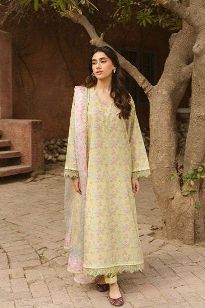 Core Lawn Collection