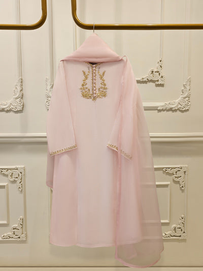 3 Piece - Pure Embroidered Cotton Net Suit