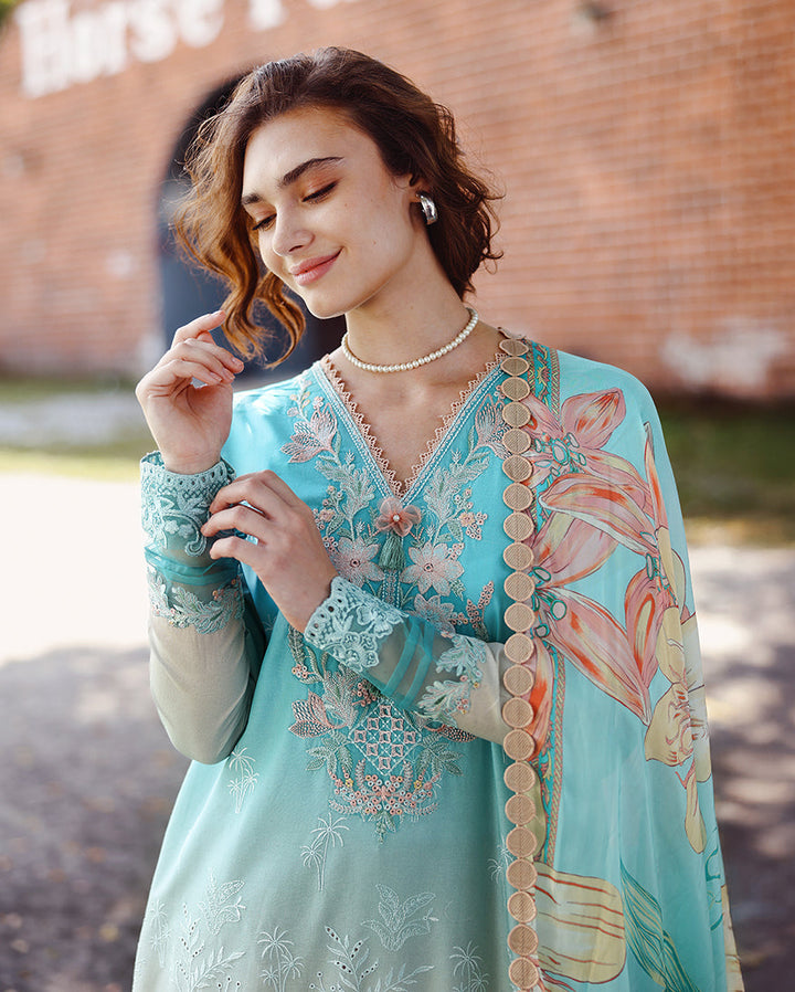 solace ombre chikankari