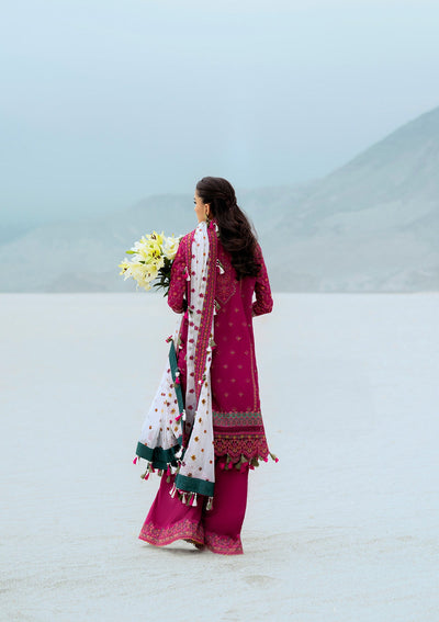 Luxury Lawn Collection