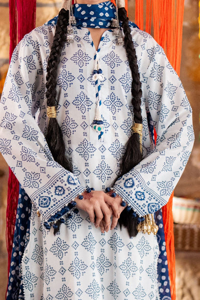 Printed Lawn Suit